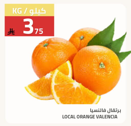 Orange available at أسواق أسترا in مملكة العربية السعودية, السعودية, سعودية - تبوك