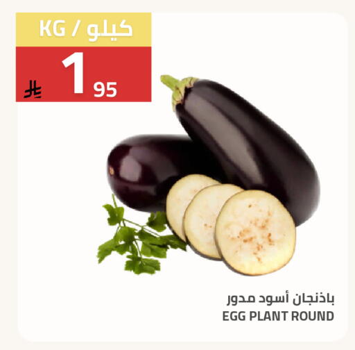 available at أسواق أسترا in مملكة العربية السعودية, السعودية, سعودية - تبوك