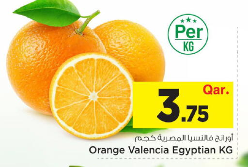 Orange from Egypt available at Mark & Save  in Qatar - Al Shamal