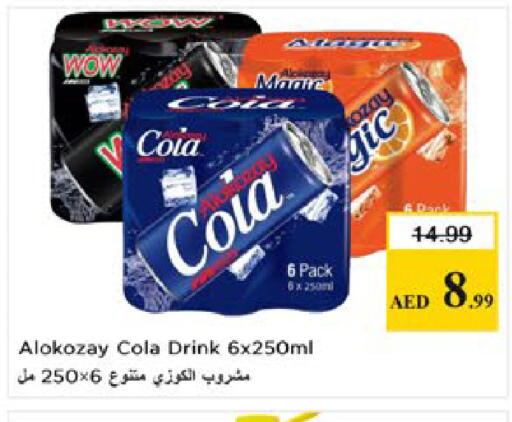 available at Nesto Hypermarket in UAE - Al Ain