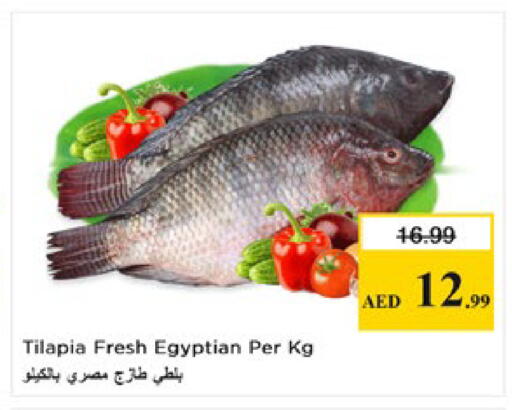 available at نستو هايبرماركت in الإمارات العربية المتحدة , الامارات - ٱلْعَيْن‎