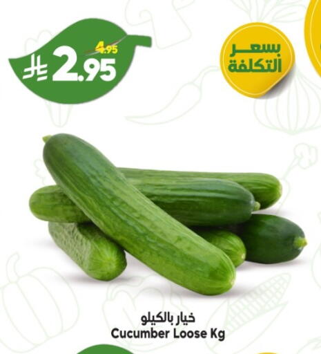 Cucumber available at الدكان in مملكة العربية السعودية, السعودية, سعودية - ينبع