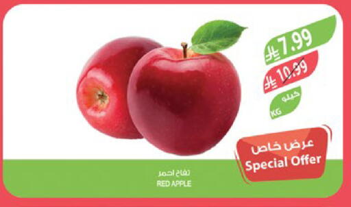 Apple available at Farm  in KSA, Saudi Arabia, Saudi - Sakaka