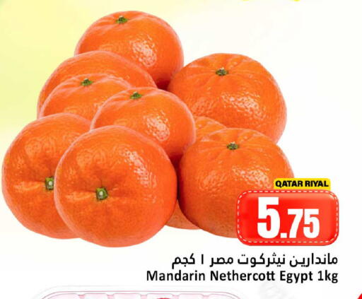 Mandarin from Qatar Egypt available at دانة هايبرماركت in قطر - الشمال