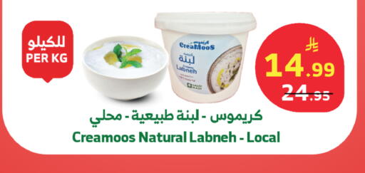 available at الراية in مملكة العربية السعودية, السعودية, سعودية - المدينة المنورة