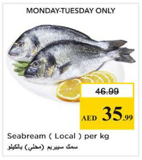 available at نستو هايبرماركت in الإمارات العربية المتحدة , الامارات - أبو ظبي