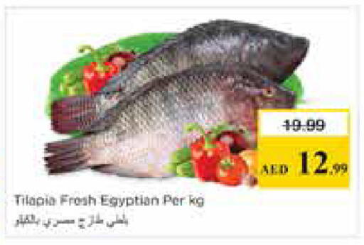 available at نستو هايبرماركت in الإمارات العربية المتحدة , الامارات - الشارقة / عجمان