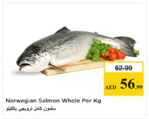 available at نستو هايبرماركت in الإمارات العربية المتحدة , الامارات - ٱلْعَيْن‎