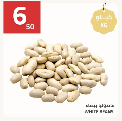 available at أسواق أسترا in مملكة العربية السعودية, السعودية, سعودية - تبوك