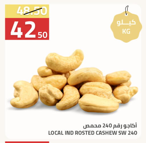 available at أسواق أسترا in مملكة العربية السعودية, السعودية, سعودية - تبوك