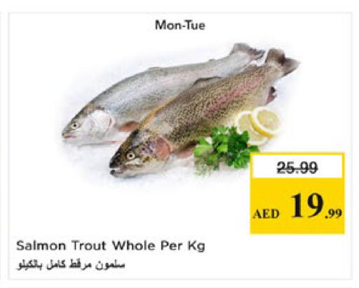 available at نستو هايبرماركت in الإمارات العربية المتحدة , الامارات - ٱلْعَيْن‎