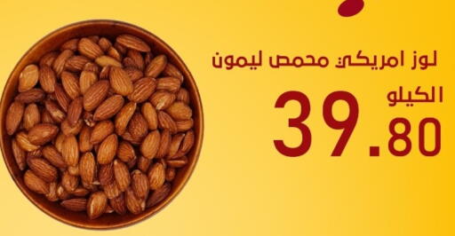 available at بن عفيف in مملكة العربية السعودية, السعودية, سعودية - المنطقة الشرقية