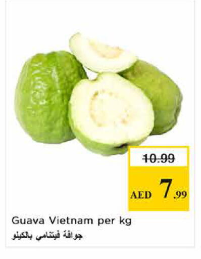 Guava from Vietnam available at لاست تشانس in الإمارات العربية المتحدة , الامارات - ٱلْفُجَيْرَة‎