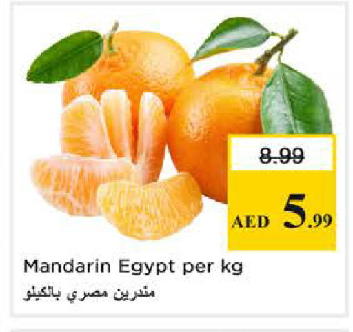 Mandarin from Egypt available at Nesto Hypermarket in UAE - Abu Dhabi