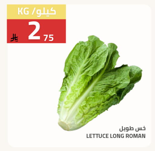 Lettuce available at أسواق أسترا in مملكة العربية السعودية, السعودية, سعودية - تبوك