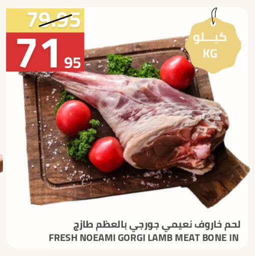 available at أسواق أسترا in مملكة العربية السعودية, السعودية, سعودية - تبوك