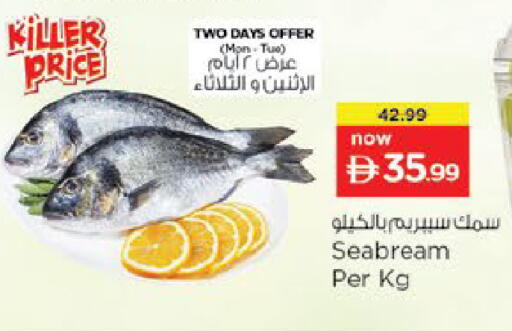 available at نستو هايبرماركت in الإمارات العربية المتحدة , الامارات - ٱلْعَيْن‎