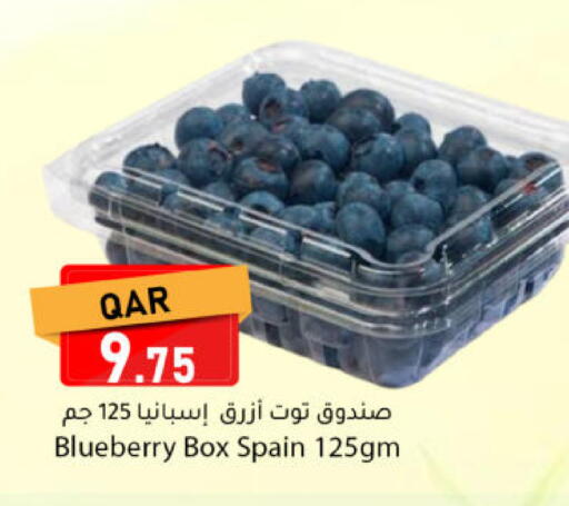 Blueberry BlueBerry from Spain available at دانا ماركت in قطر - الشمال