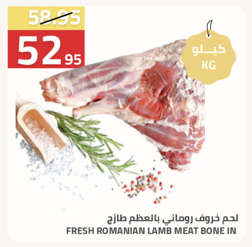 available at أسواق أسترا in مملكة العربية السعودية, السعودية, سعودية - تبوك