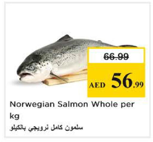 available at نستو هايبرماركت in الإمارات العربية المتحدة , الامارات - أبو ظبي