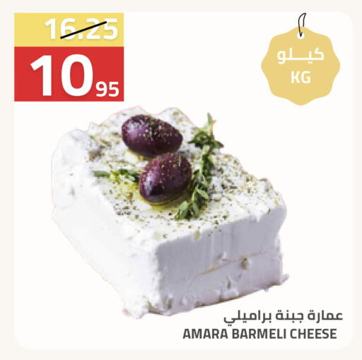 available at أسواق أسترا in مملكة العربية السعودية, السعودية, سعودية - تبوك