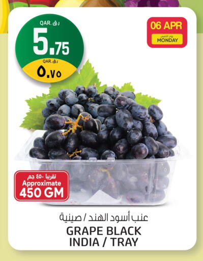 available at السعودية in قطر - الريان