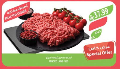 available at المزرعة in مملكة العربية السعودية, السعودية, سعودية - سكاكا