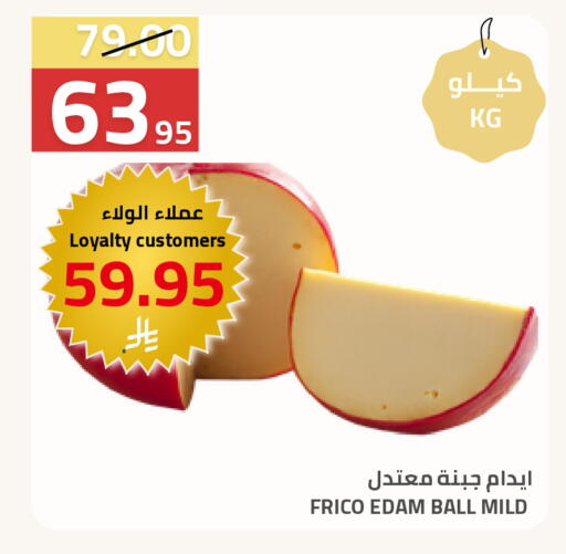 available at أسواق أسترا in مملكة العربية السعودية, السعودية, سعودية - تبوك