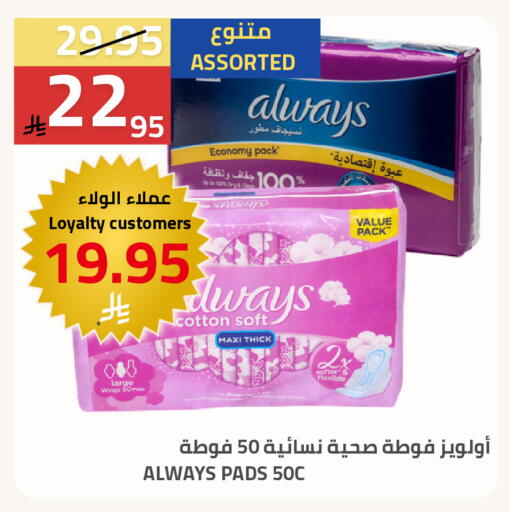 available at أسواق أسترا in مملكة العربية السعودية, السعودية, سعودية - تبوك