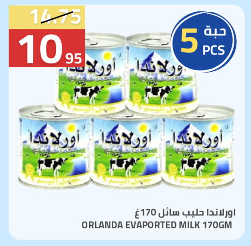 available at أسواق أسترا in مملكة العربية السعودية, السعودية, سعودية - تبوك