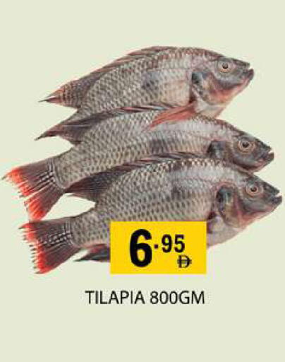 available at زين مارت سوبرماركت in الإمارات العربية المتحدة , الامارات - رَأْس ٱلْخَيْمَة