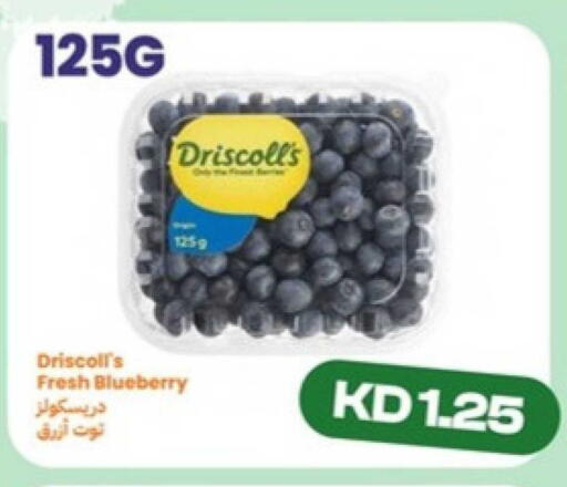 Blueberry BlueBerry available at Taw9eel.com in Kuwait - Kuwait City