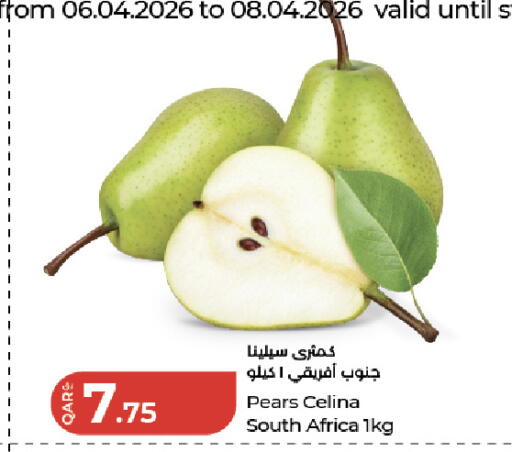 from South Africa available at لولو هايبرماركت in قطر - الخور