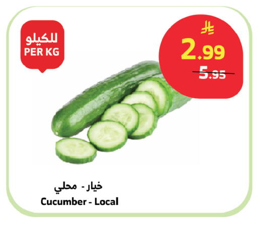 Cucumber available at Al Raya in KSA, Saudi Arabia, Saudi - Al Qunfudhah