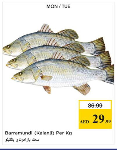 available at Nesto Hypermarket in UAE - Fujairah