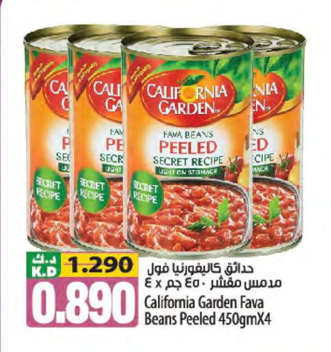 Mango available at مانجو هايبرماركت in الكويت - مدينة الكويت