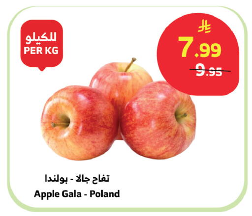 Apple from Poland available at Al Raya in KSA, Saudi Arabia, Saudi - Mecca