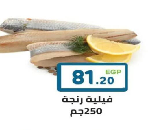 available at هايبر ماركت دريم in Egypt - القاهرة