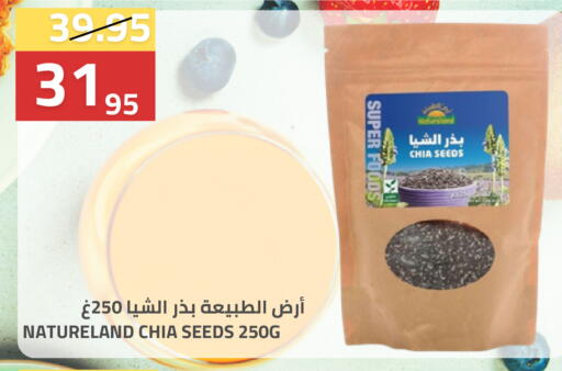 available at أسواق أسترا in مملكة العربية السعودية, السعودية, سعودية - تبوك