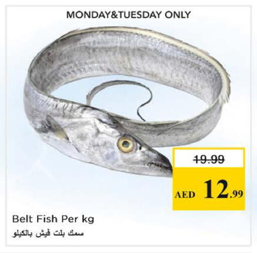 available at نستو هايبرماركت in الإمارات العربية المتحدة , الامارات - الشارقة / عجمان