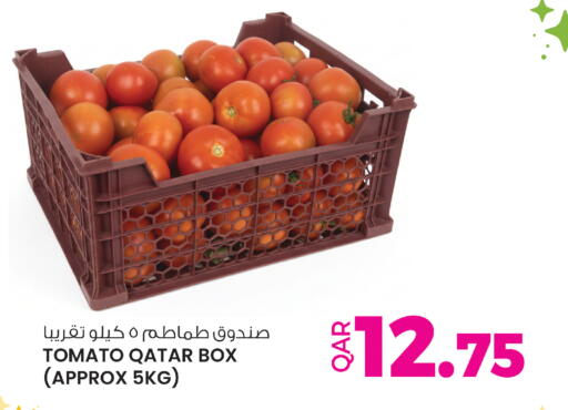 Tomato available at أنصار جاليري in قطر - الضعاين