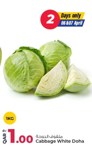 Cabbage available at روابي هايبرماركت in قطر - الشحانية