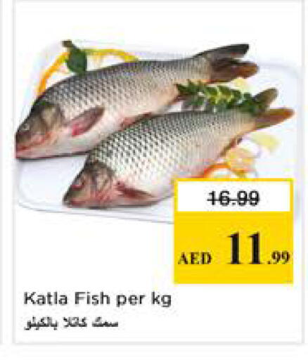 available at نستو هايبرماركت in الإمارات العربية المتحدة , الامارات - الشارقة / عجمان