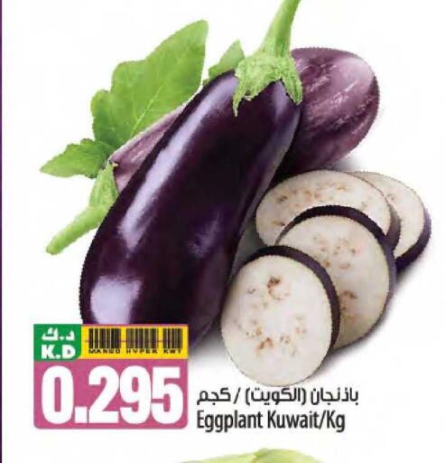 Mango Eggplant from Kuwait available at مانجو هايبرماركت in الكويت - مدينة الكويت