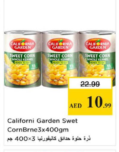 available at Nesto Hypermarket in UAE - Fujairah