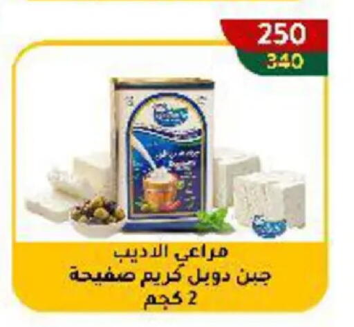 available at Wekalet Elmansoura - Dakahlia  in Egypt - Cairo