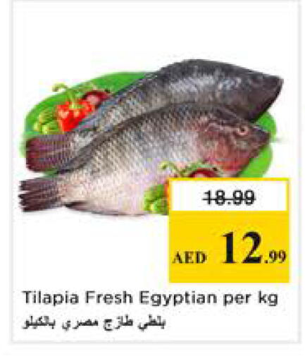 available at نستو هايبرماركت in الإمارات العربية المتحدة , الامارات - الشارقة / عجمان