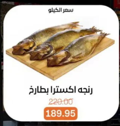 available at Beit El Gomla in Egypt - Cairo