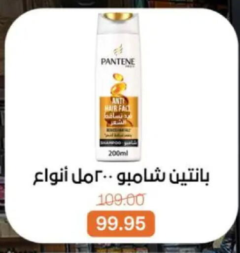 available at Beit El Gomla in Egypt - Cairo