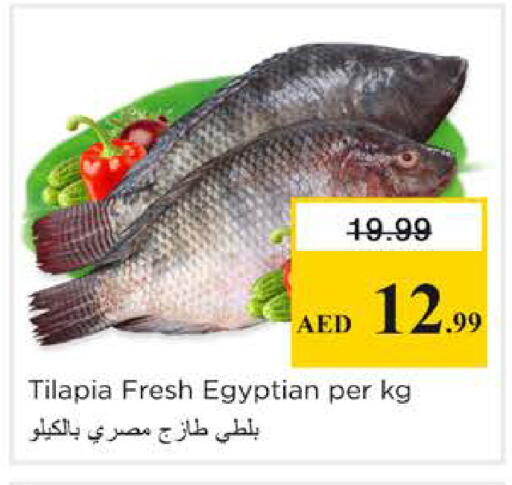 available at نستو هايبرماركت in الإمارات العربية المتحدة , الامارات - الشارقة / عجمان